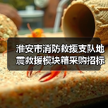 淮安市消防救援支队地震救援模块箱采购招标项目报名指南(图4) 淮安市消防救援支队地震救援模块箱采购招标项目报名指南(图4)