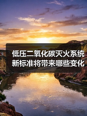 低压二氧化碳灭火系统新标准将带来哪些变化?(图2) 低压二氧化碳灭火系统新标准将带来哪些变化?(图2)