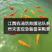 江西省消防救援总队自然灾害应急装备采购第二批招标公告（图1）
