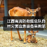 江西省消防救援总队自然灾害应急装备采购第二批招标公告（图2）