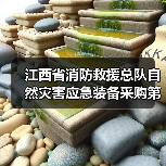 江西省消防救援总队自然灾害应急装备采购第二批招标公告（图4）