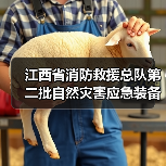 江西省消防救援总队第二批自然灾害应急装备采购招标公告（图2）