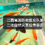 江西省消防救援总队第二批自然灾害应急装备采购招标公告（图1）