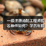 一级注册消防工程师报名条件如何?学历年限怎么算?(图4) 一级注册消防工程师报名条件如何?学历年限怎么算?(图4)
