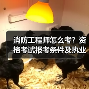 消防工程师怎么考？资格考试报考条件及执业范围全解析（图3）