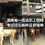 湖南省一级消防工程师考试报名条件及资格审查要点(图2) 湖南省一级消防工程师考试报名条件及资格审查要点(图2)