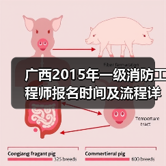 广西2015年一级消防工程师报名时间及流程详解(图3) 广西2015年一级消防工程师报名时间及流程详解(图3)