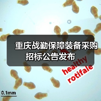 重庆战勤保障装备采购招标公告发布(图3) 重庆战勤保障装备采购招标公告发布(图3)