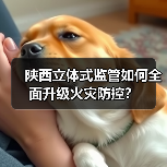 陕西立体式监管如何全面升级火灾防控？（图1）