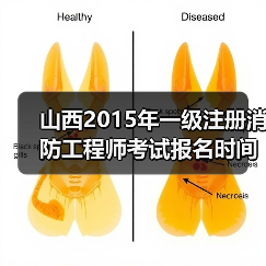 山西2015年一级注册消防工程师考试报名时间及条件解析(图1) 山西2015年一级注册消防工程师考试报名时间及条件解析(图1)