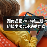 湖南通报2024第三批消防技术服务违法处罚案件详情(图2) 湖南通报2024第三批消防技术服务违法处罚案件详情(图2)