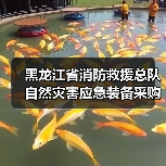 黑龙江省消防救援总队自然灾害应急装备采购需求二次调查公告（图3）