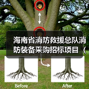 海南省消防救援总队消防装备采购招标项目(二)(图4) 海南省消防救援总队消防装备采购招标项目(二)(图4)