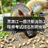 黑龙江一级注册消防工程师考试报名时间安排指南(图4) 黑龙江一级注册消防工程师考试报名时间安排指南(图4)