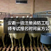 安徽一级注册消防工程师考试报名时间官方公布(图3) 安徽一级注册消防工程师考试报名时间官方公布(图3)