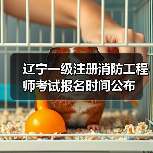 辽宁一级注册消防工程师考试报名时间公布(图3) 辽宁一级注册消防工程师考试报名时间公布(图3)