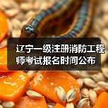 辽宁一级注册消防工程师考试报名时间公布(图4) 辽宁一级注册消防工程师考试报名时间公布(图4)