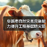 阜新市自然灾害应急能力提升工程基层防灾项目-抗洪抢险和水域救援类装备采购(图2) 阜新市自然灾害应急能力提升工程基层防灾项目-抗洪抢险和水域救援类装备采购(图2)