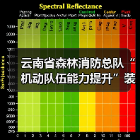 云南省森林消防总队“机动队伍能力提升”装备配备项目救援装备(水域排涝类装备器材)购置项目(二次)公开招标公告(图4) 云南省森林消防总队“机动队伍能力提升”装备配备项目救援装备(水域排涝类装备器材)购置项目(二次)公开招标公告(图4)