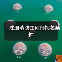 注册消防工程师报名条件（图1）