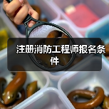 注册消防工程师报名条件（图2）