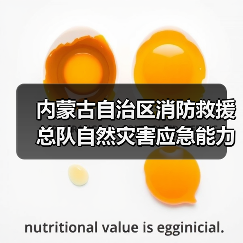 内蒙古自治区消防救援总队自然灾害应急能力提升工程消防装备建设项目第二批次(侦检类、破拆类)招标公告(图2) 内蒙古自治区消防救援总队自然灾害应急能力提升工程消防装备建设项目第二批次(侦检类、破拆类)招标公告(图2)