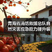 青海省消防救援总队自然灾害应急能力提升装备配备项目(第十批)(第三次)公开招标公告(图1) 青海省消防救援总队自然灾害应急能力提升装备配备项目(第十批)(第三次)公开招标公告(图1)