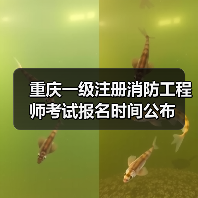 重庆一级注册消防工程师考试报名时间公布(图4) 重庆一级注册消防工程师考试报名时间公布(图4)