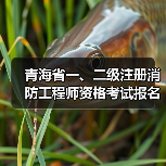 青海省一、二级注册消防工程师资格考试报名时间公布(图3) 青海省一、二级注册消防工程师资格考试报名时间公布(图3)