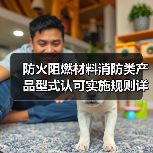 防火阻燃材料消防类产品型式认可实施规则详解（图3）