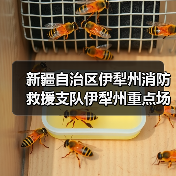 新疆自治区伊犁州消防救援支队伊犁州重点场所“智慧消防”工程及相关配套项目指挥中心系统建设项目招标公告(图3) 新疆自治区伊犁州消防救援支队伊犁州重点场所“智慧消防”工程及相关配套项目指挥中心系统建设项目招标公告(图3)