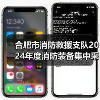 合肥市消防救援支队2024年度消防装备集中采购项目采购需求公示(图2) 合肥市消防救援支队2024年度消防装备集中采购项目采购需求公示(图2)