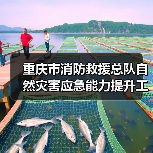 重庆市消防救援总队自然灾害应急能力提升工程消防装备建设项目(特种灾害救援装备包20-包22)(第二部分,第三批)公开招标公告(图3) 重庆市消防救援总队自然灾害应急能力提升工程消防装备建设项目(特种灾害救援装备包20-包22)(第二部分,第三批)公开招标公告(图3)
