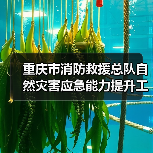 重庆市消防救援总队自然灾害应急能力提升工程消防装备建设项目(特种灾害救援装备包20-包22)(第二部分,第三批)公开招标公告(图4) 重庆市消防救援总队自然灾害应急能力提升工程消防装备建设项目(特种灾害救援装备包20-包22)(第二部分,第三批)公开招标公告(图4)
