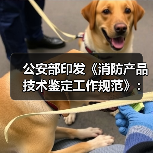 公安部印发《消防产品技术鉴定工作规范》：新规解读来了！（图4）