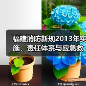 福建消防新规2013年实施,责任体系与应急救援新变化(图3) 福建消防新规2013年实施,责任体系与应急救援新变化(图3)