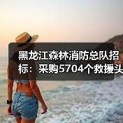 黑龙江森林消防总队招标:采购5704个救援头盔等装备(图2) 黑龙江森林消防总队招标:采购5704个救援头盔等装备(图2)