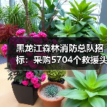 黑龙江森林消防总队招标:采购5704个救援头盔等装备(图4) 黑龙江森林消防总队招标:采购5704个救援头盔等装备(图4)