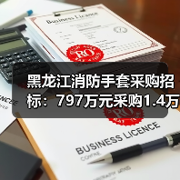 黑龙江消防手套采购招标:797万元采购1.4万副,41包竞标公告(图2) 黑龙江消防手套采购招标:797万元采购1.4万副,41包竞标公告(图2)