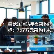 黑龙江消防手套采购招标:797万元采购1.4万副,41包竞标公告(图1) 黑龙江消防手套采购招标:797万元采购1.4万副,41包竞标公告(图1)