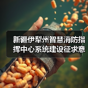 新疆伊犁州智慧消防指挥中心系统建设征求意见公告：如何参与？关键信息公布！（图2）