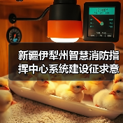 新疆伊犁州智慧消防指挥中心系统建设征求意见公告：如何参与？关键信息公布！（图4）