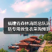 福建省森林消防总队消防专用救生衣采购预算价公开询价（图2）