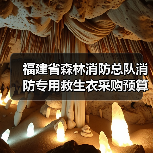 福建省森林消防总队消防专用救生衣采购预算价公开询价（图4）